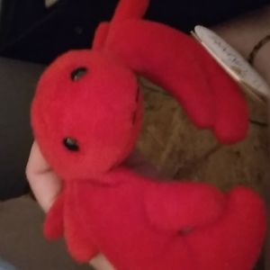 Wish pet lobster